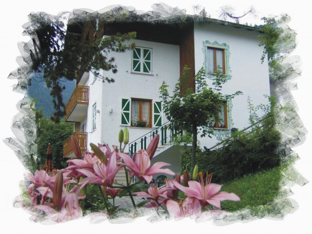 Aprica Apartment