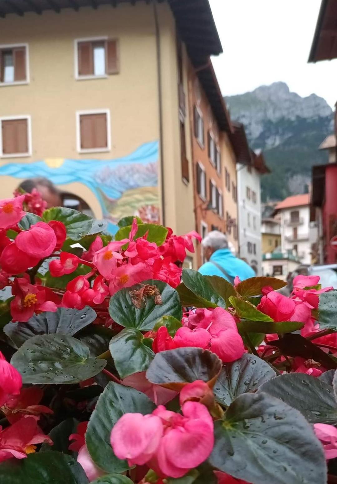 Apartment Aprica *