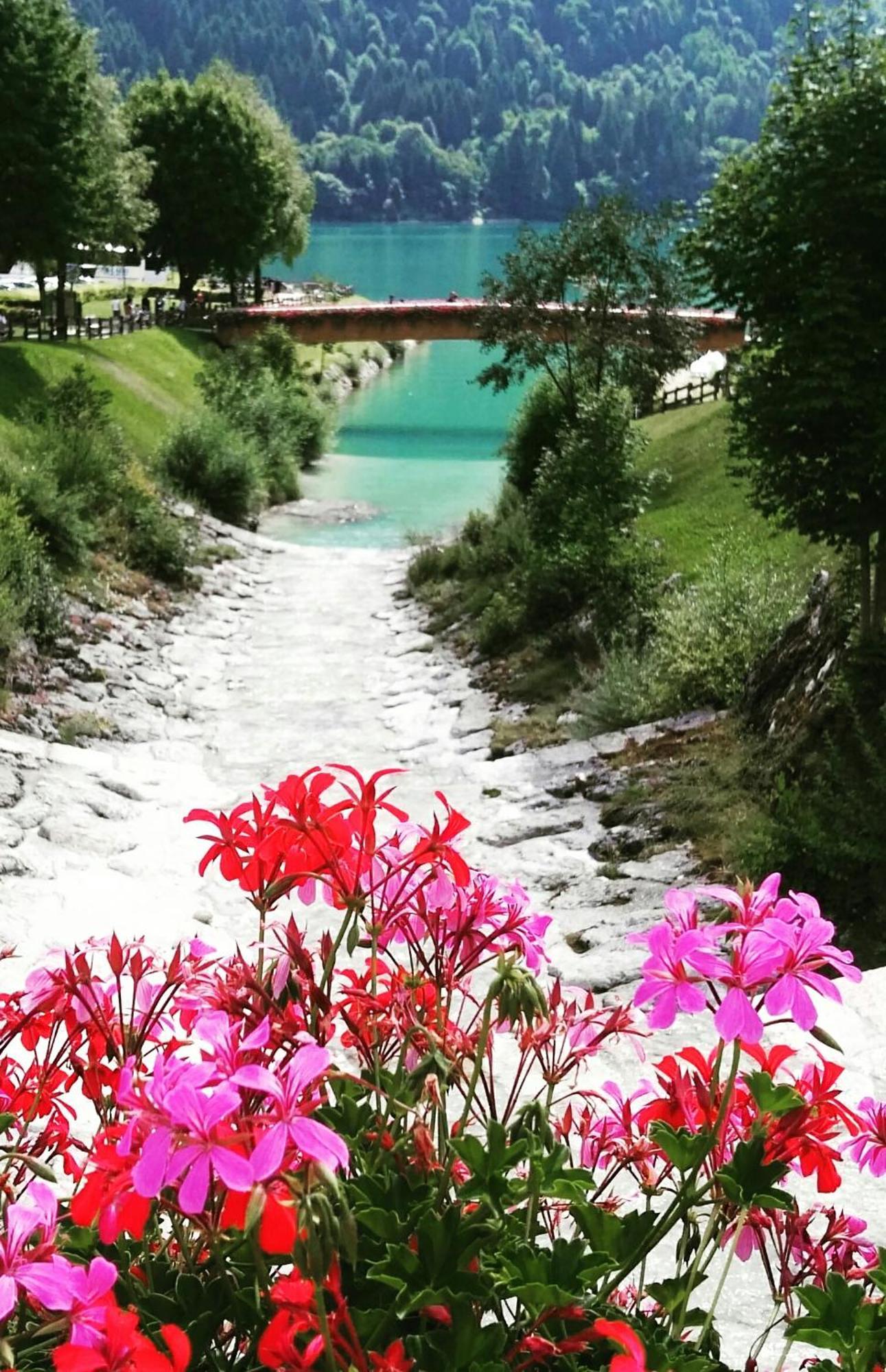 Aprica *