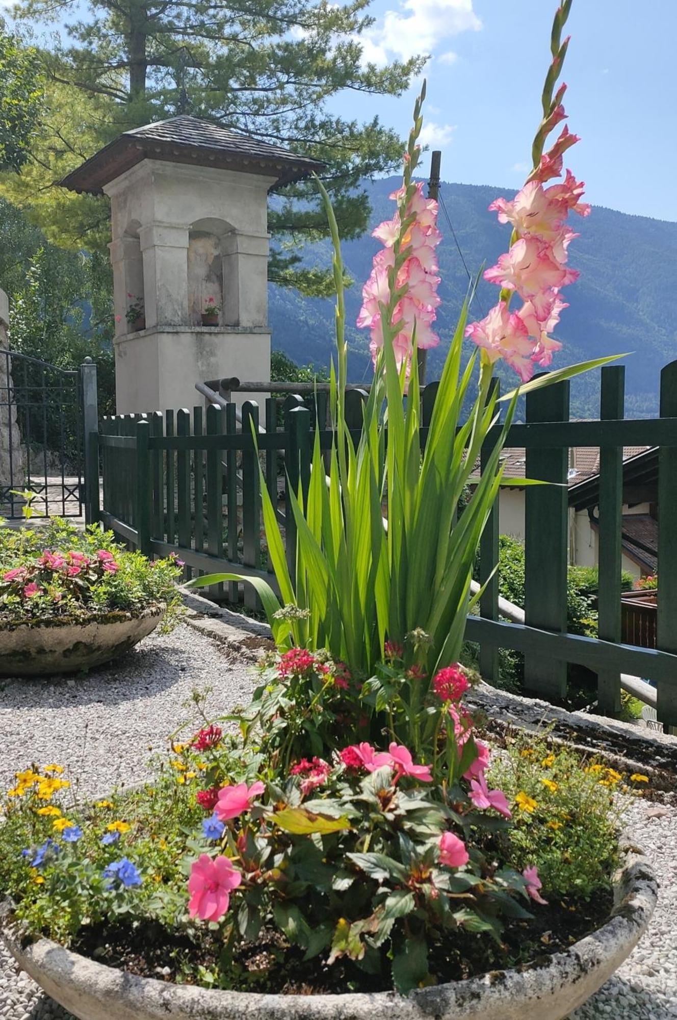 Apartment Aprica Molveno