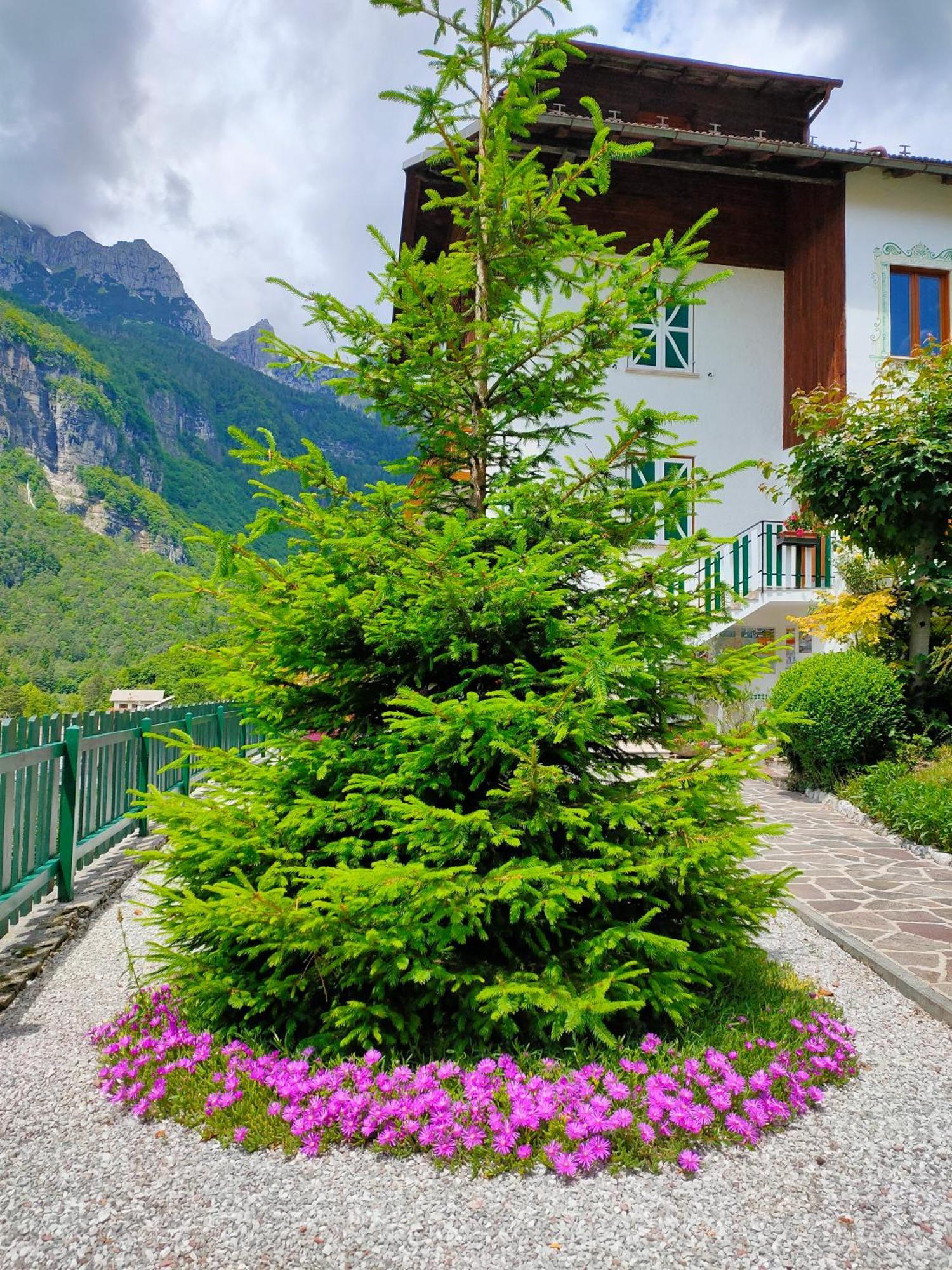 Aprica * Molveno